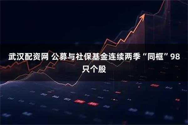 武汉配资网 公募与社保基金连续两季“同框”98只个股