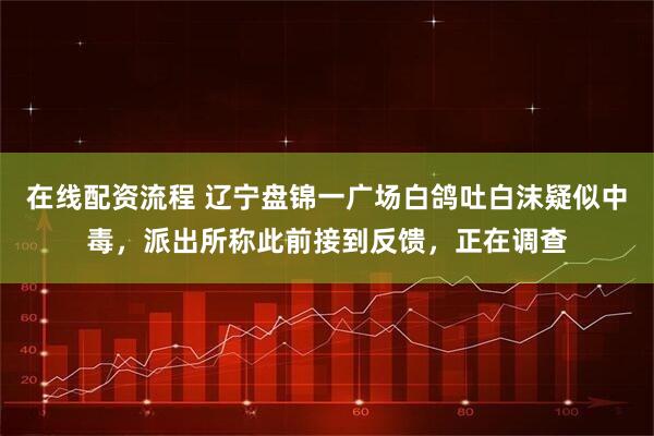 在线配资流程 辽宁盘锦一广场白鸽吐白沫疑似中毒，派出所称此前接到反馈，正在调查