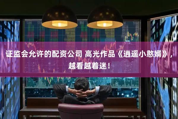 证监会允许的配资公司 高光作品《逍遥小憨婿》，越看越着迷！